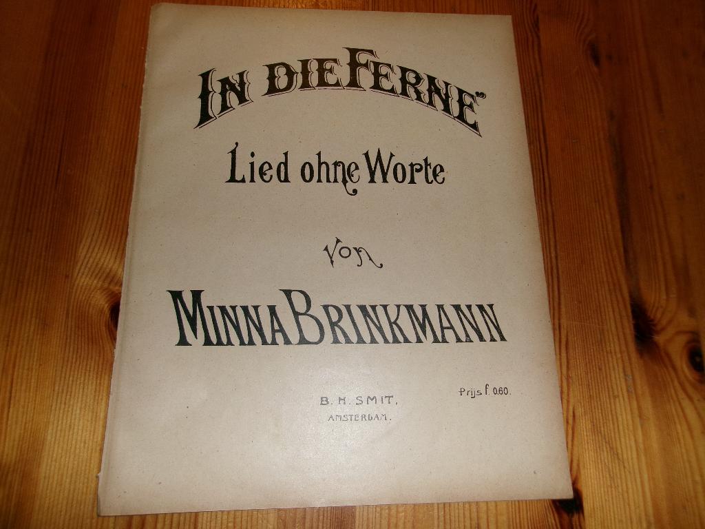 Minna brinkmann - in die ferne, Gebruikt, Ophalen of Verzenden, Artiest of Componist, Piano