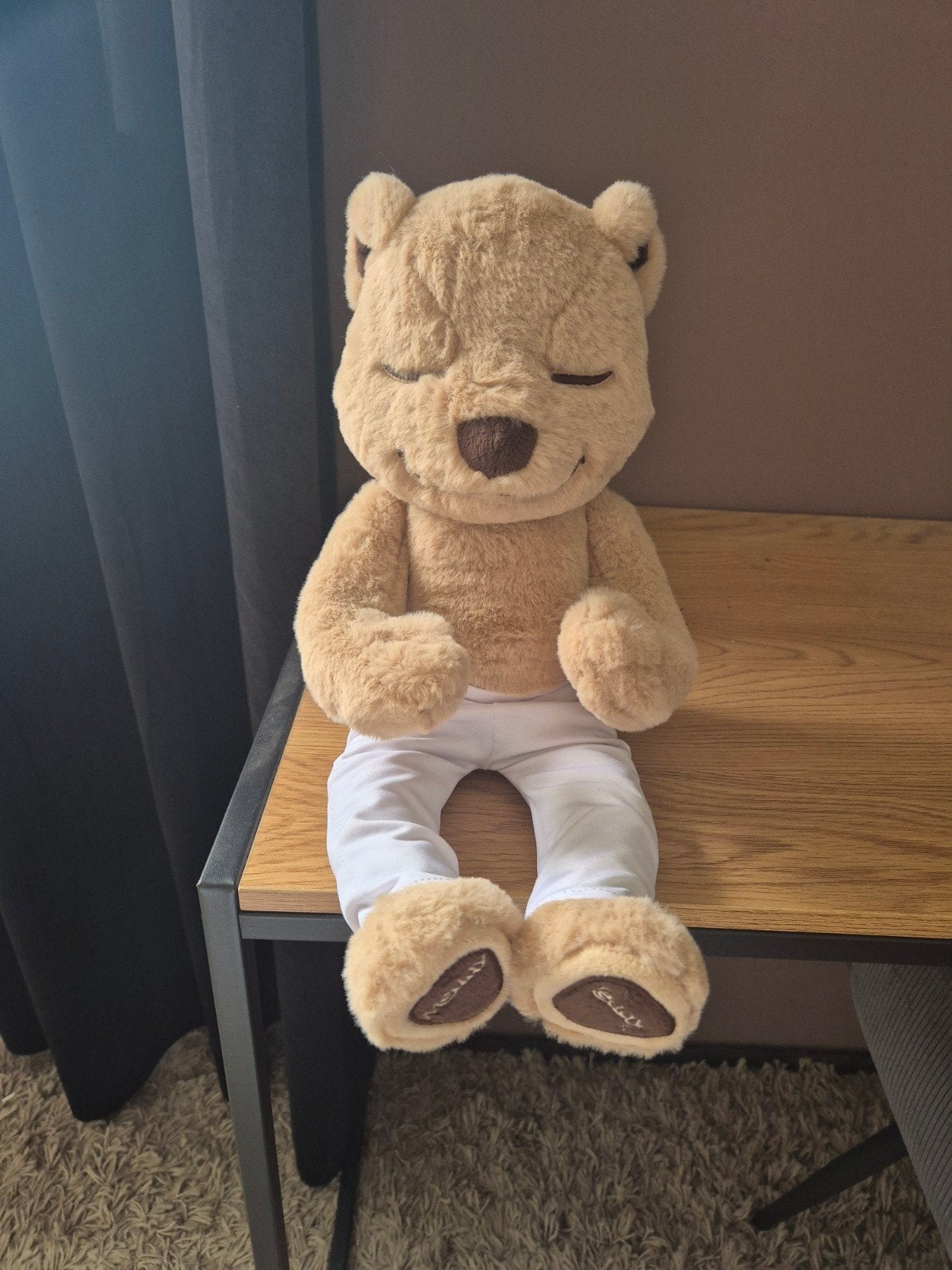 Meddy Teddy  kinderyoga beer- nieuw, Disney, Disney, Beer, Ophalen of Verzenden