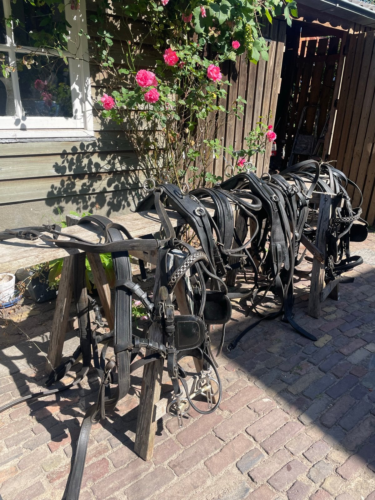 Pony tweespan rijtuig – Ideal – leren tuig maat cob, Dieren en Toebehoren, Gebruikt, Pony, Zwart, Verstelbaar