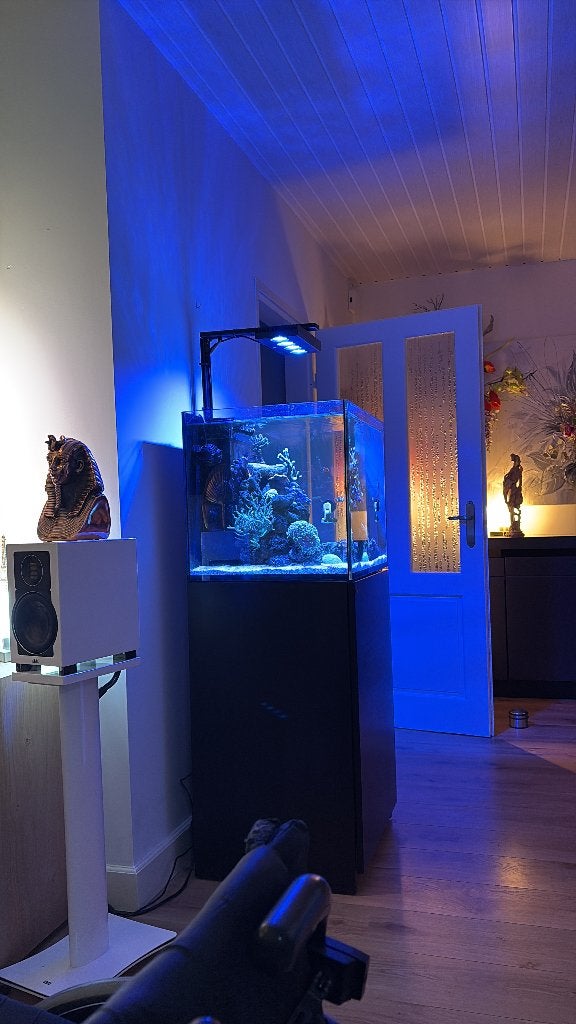 AI hydra 64hd led zwart met orginele arm, Ophalen, App-bediening, Verlichting of Verwarming, Overige merken
