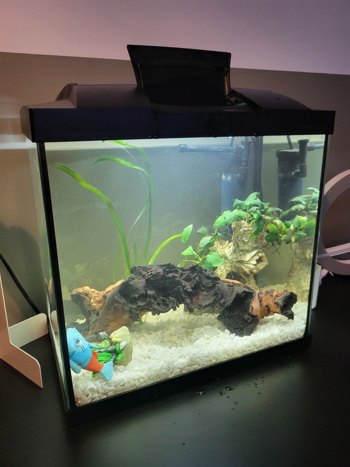 superfish 25 liter aquarium inclusief inrichting, Dieren en Toebehoren, Ophalen, Inclusief toebehoren, Zo goed als nieuw, Leeg aquarium