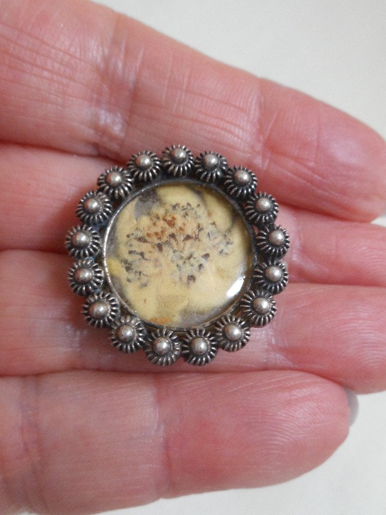 Zilveren antiek broche met echte edelweiss nr.462, Verzenden, Zilver, Broche