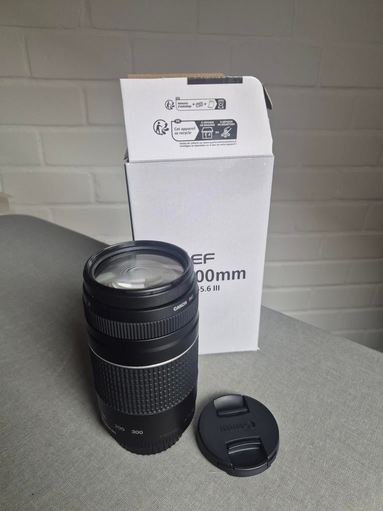 Canon EF 75-300mm f/4.0-5.6 ||| objectief, Audio, Tv en Foto, Fotografie | Lenzen en Objectieven, Ophalen of Verzenden, Zo goed als nieuw