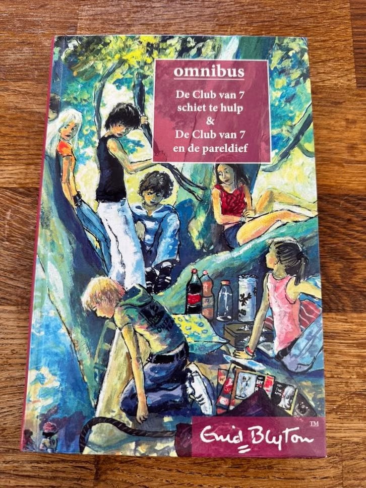 Boek Enid Blyton - Omnibus - Club van 7, Ophalen of Verzenden, Zo goed als nieuw, Enid Blyton, Fictie