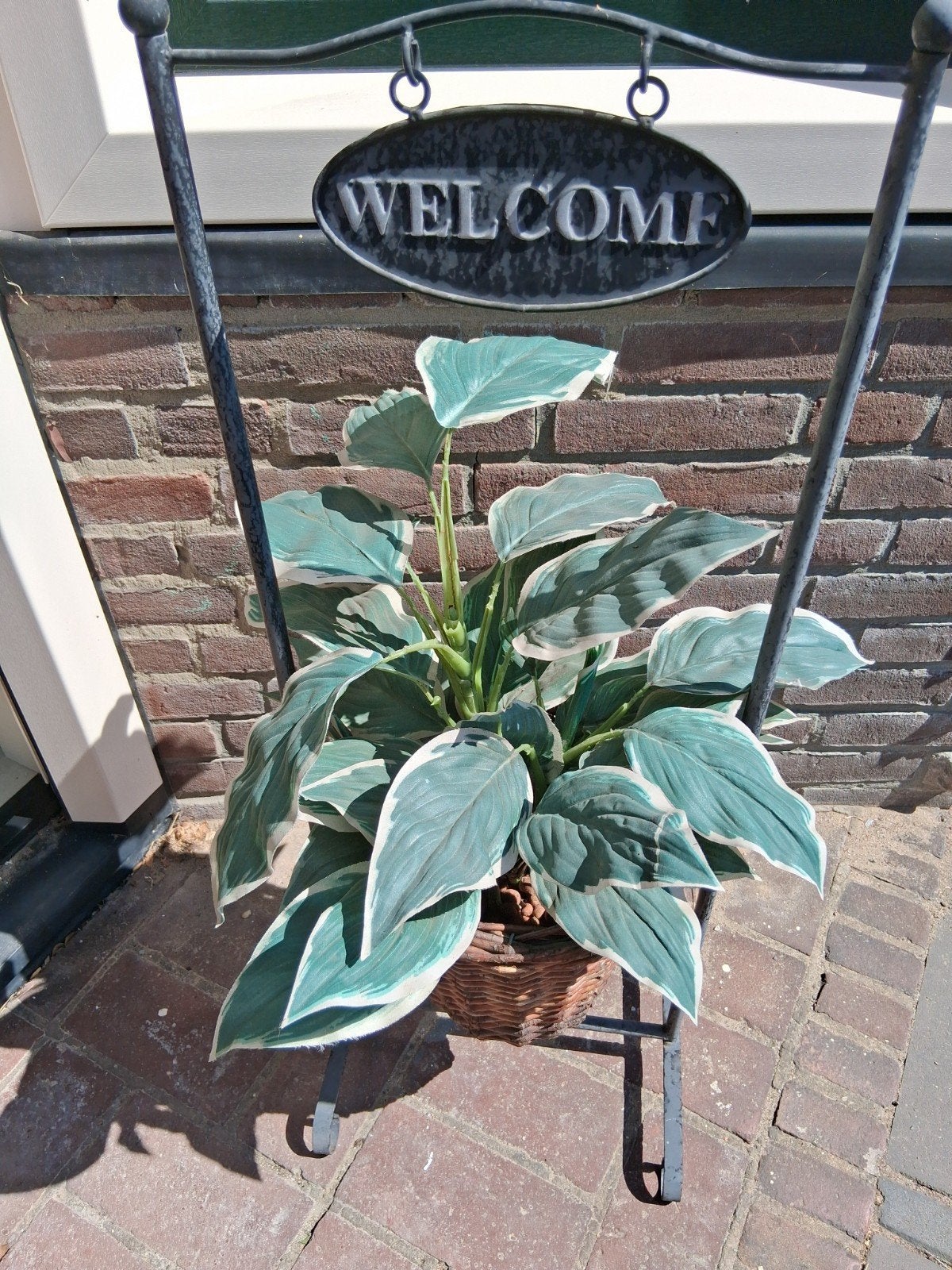 voor bijna GRATIS kunstplant in welkoms standaard, Volle zon, Bloeit niet, Minder dan 100 cm, Overige soorten