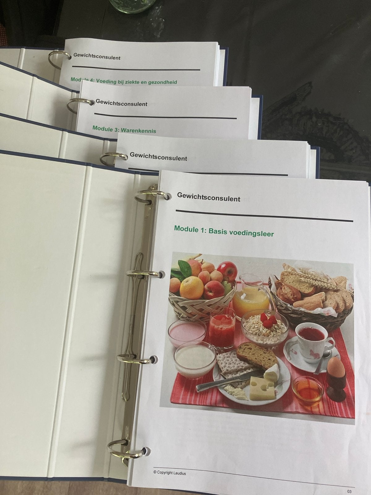 Laudius Gewichtsconsulent Opleiding (4 modules), Ophalen of Verzenden, Gamma, Zo goed als nieuw, MBO