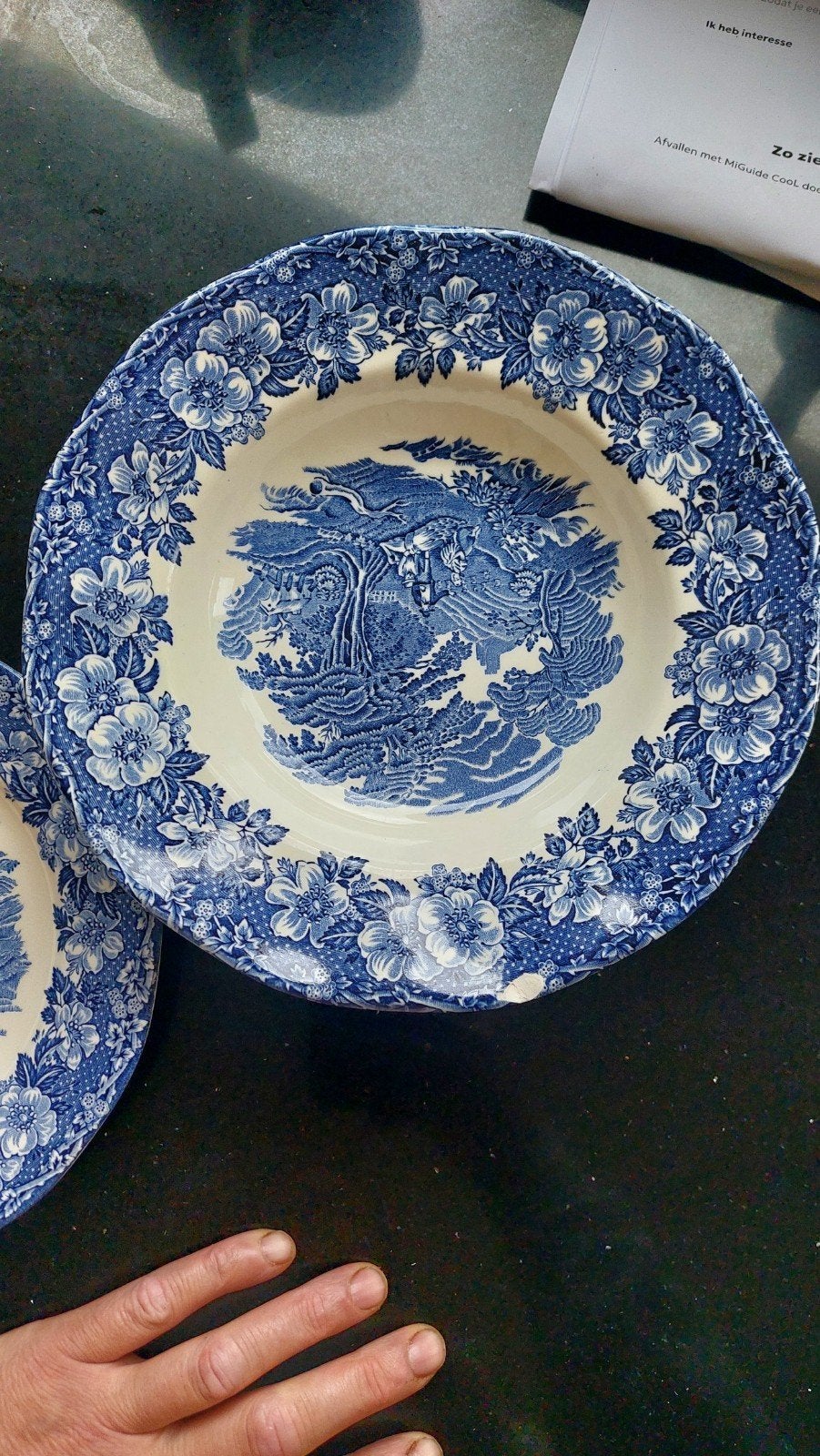 Enoch Wedgwood Woodland diepe borden en gebaksbordje, Ophalen of Verzenden