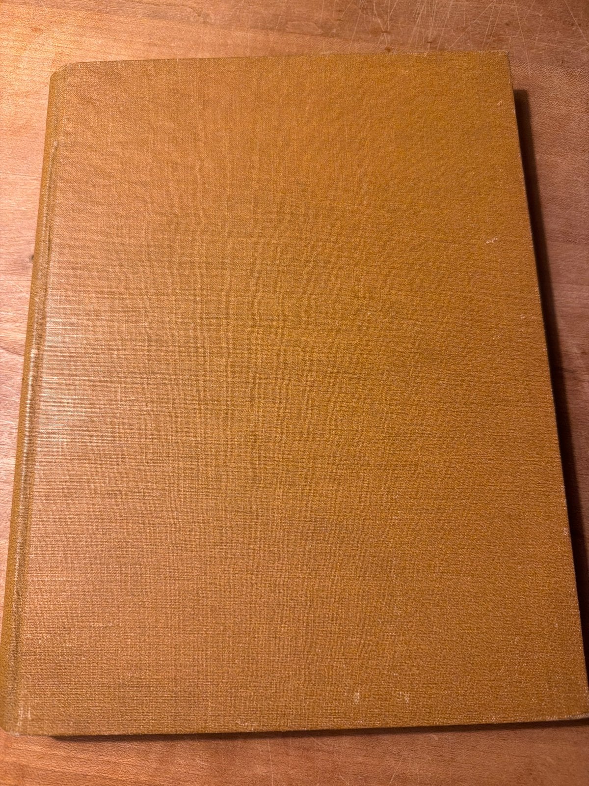 Hollandsche Schilders van dezen Tijd - G.W. Dijsselhof, Ophalen of Verzenden, Gelezen, Overige onderwerpen