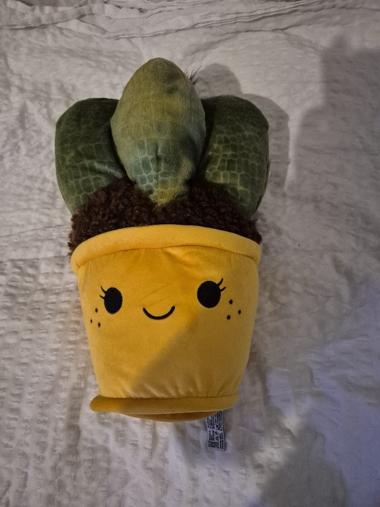 Schattige Pluche Cactus Knuffel – 'Take Me Home' Plant, Overige merken, Overige karakters, Overige typen, Nieuw