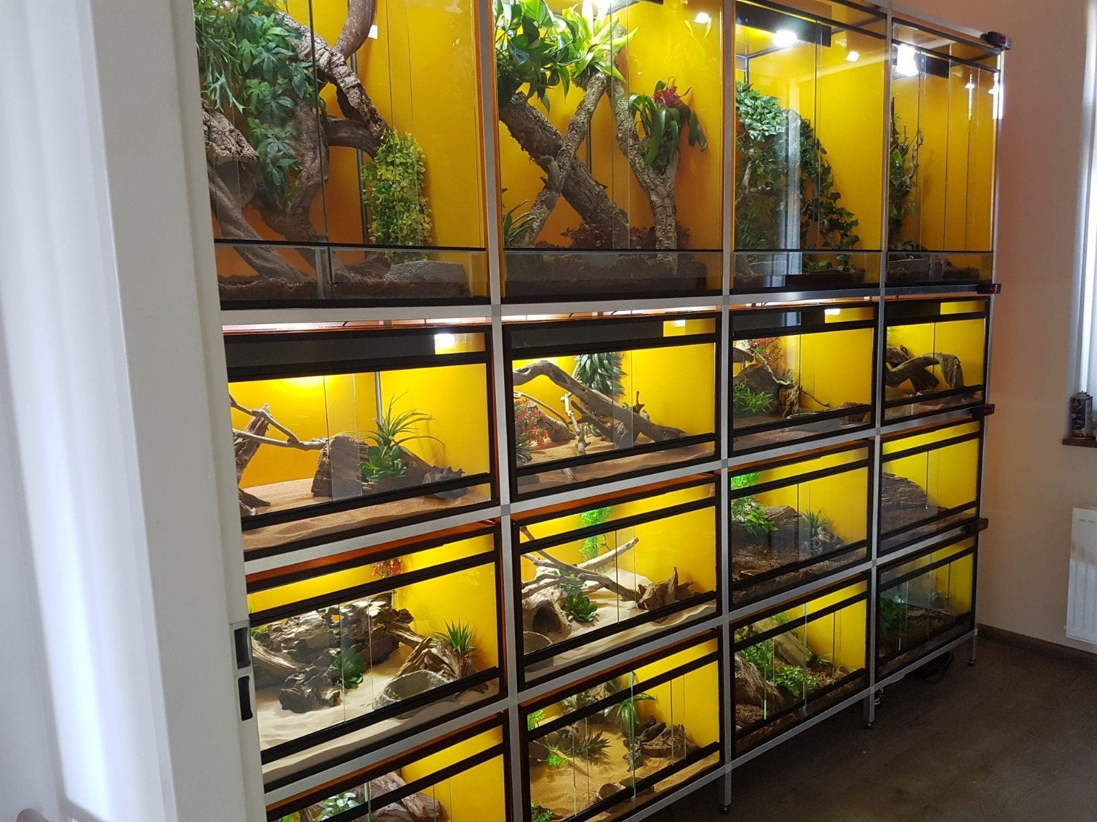 Terrarium stelling 297x50x230, Ophalen, Gebruikt, Terrarium of Paludarium