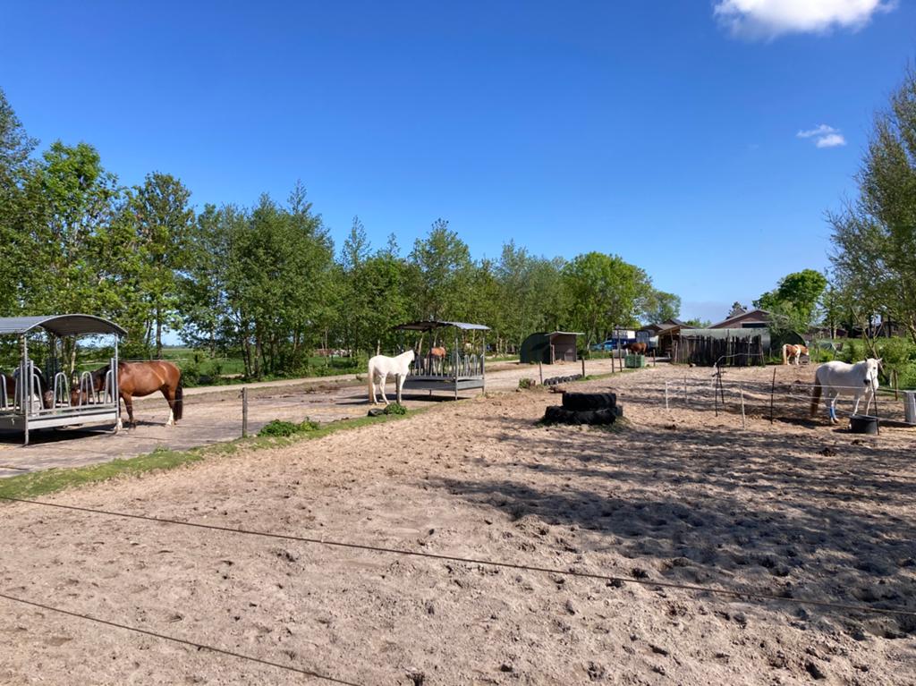 Hulp op stal uitmesten