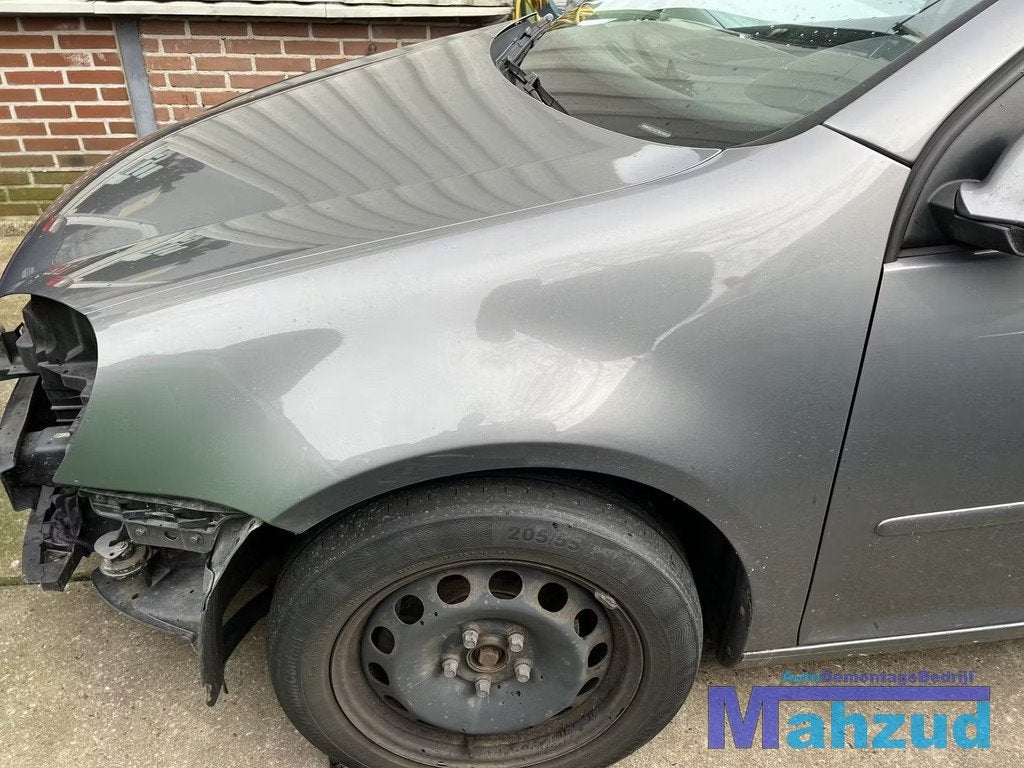 VW GOLF 5 LA7T Links scherm voorscherm zijscherm 2003-2009, Gebruikt, Volkswagen, Volkswagen AG, Voor
