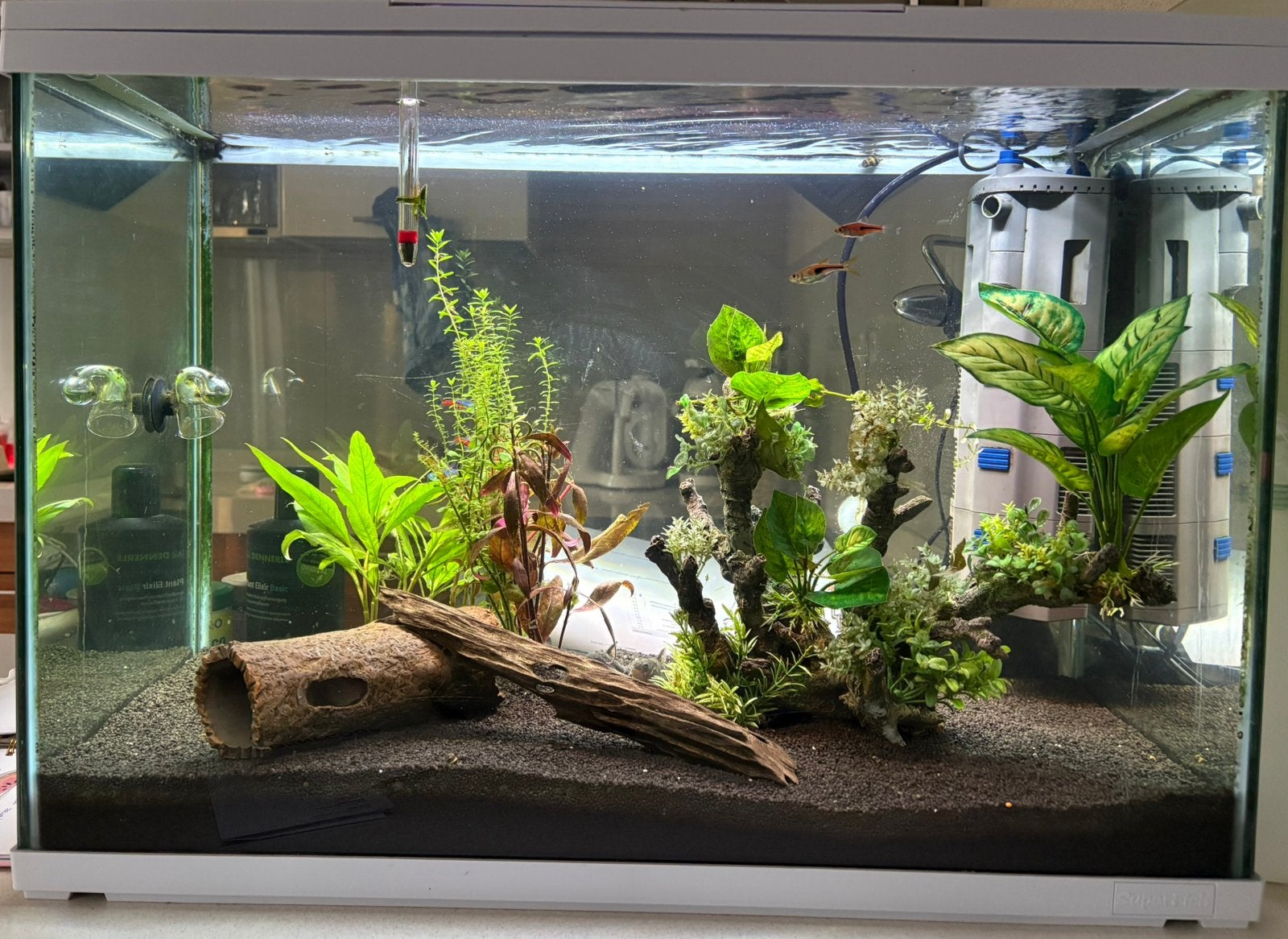 Aquarium 100 liter, Ophalen, Gebruikt, Gevuld zoetwateraquarium, Superfish