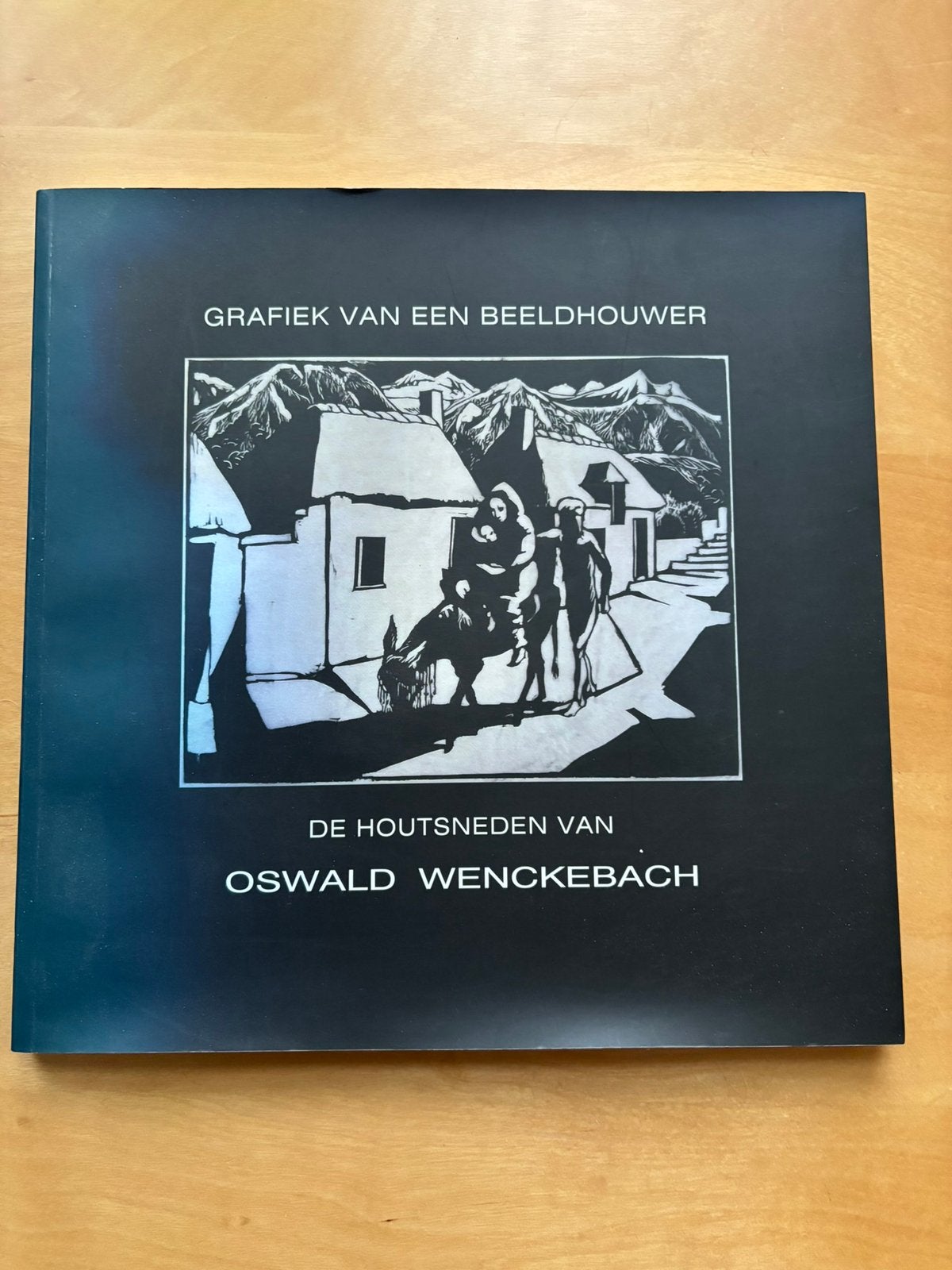 Boek Oswald Wenckebach, Ophalen of Verzenden, Gelezen, Overige onderwerpen