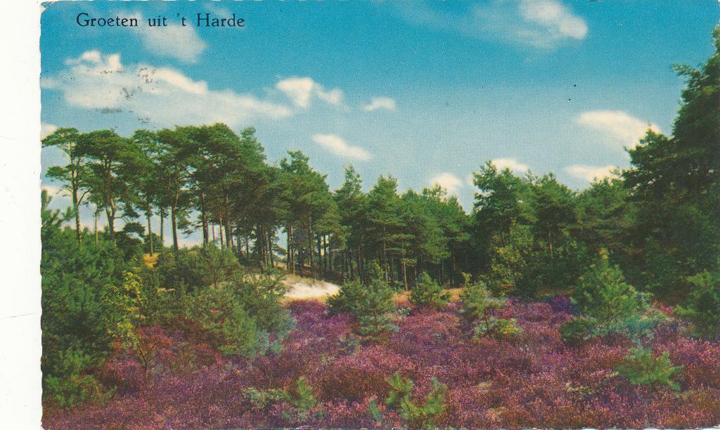 9761 Groeten uit ’t Harde, Ophalen of Verzenden, 1940 tot 1960, Gelderland