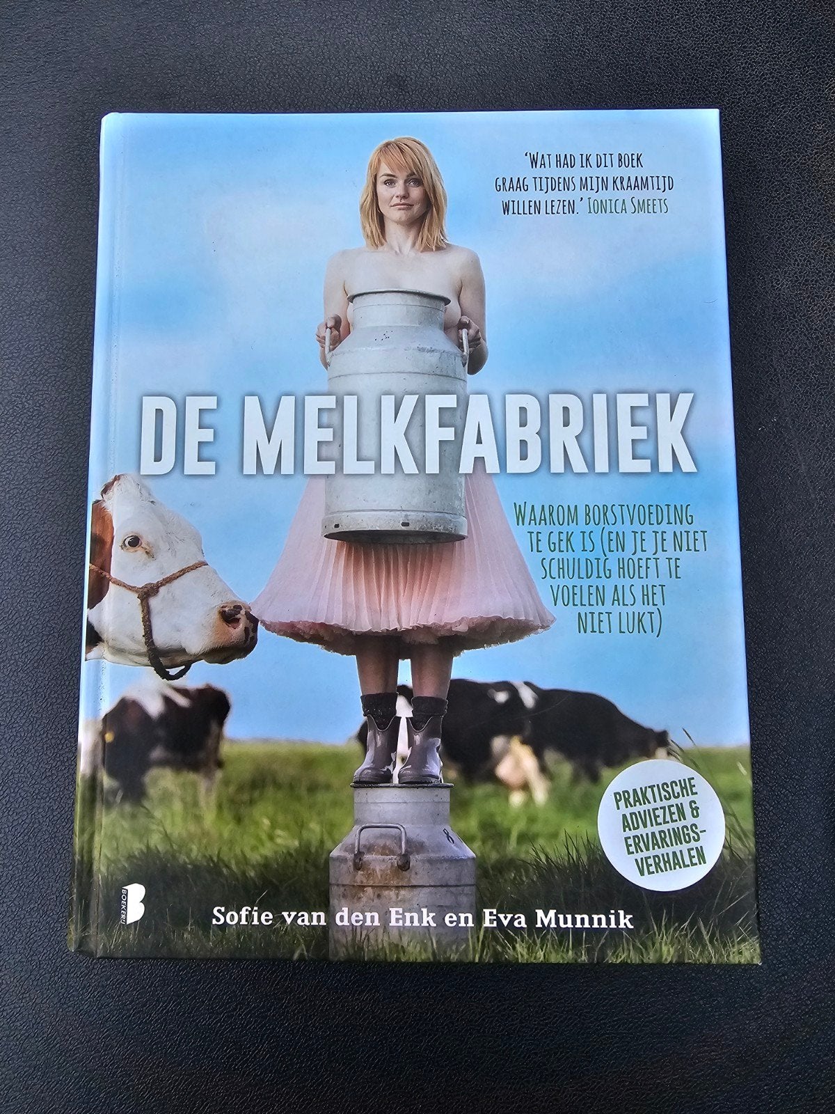 De Melkfabriek: Borstvoeding, advies en ervaringsverhalen, Boeken, Ophalen of Verzenden, Zo goed als nieuw, Zwangerschap en Bevalling