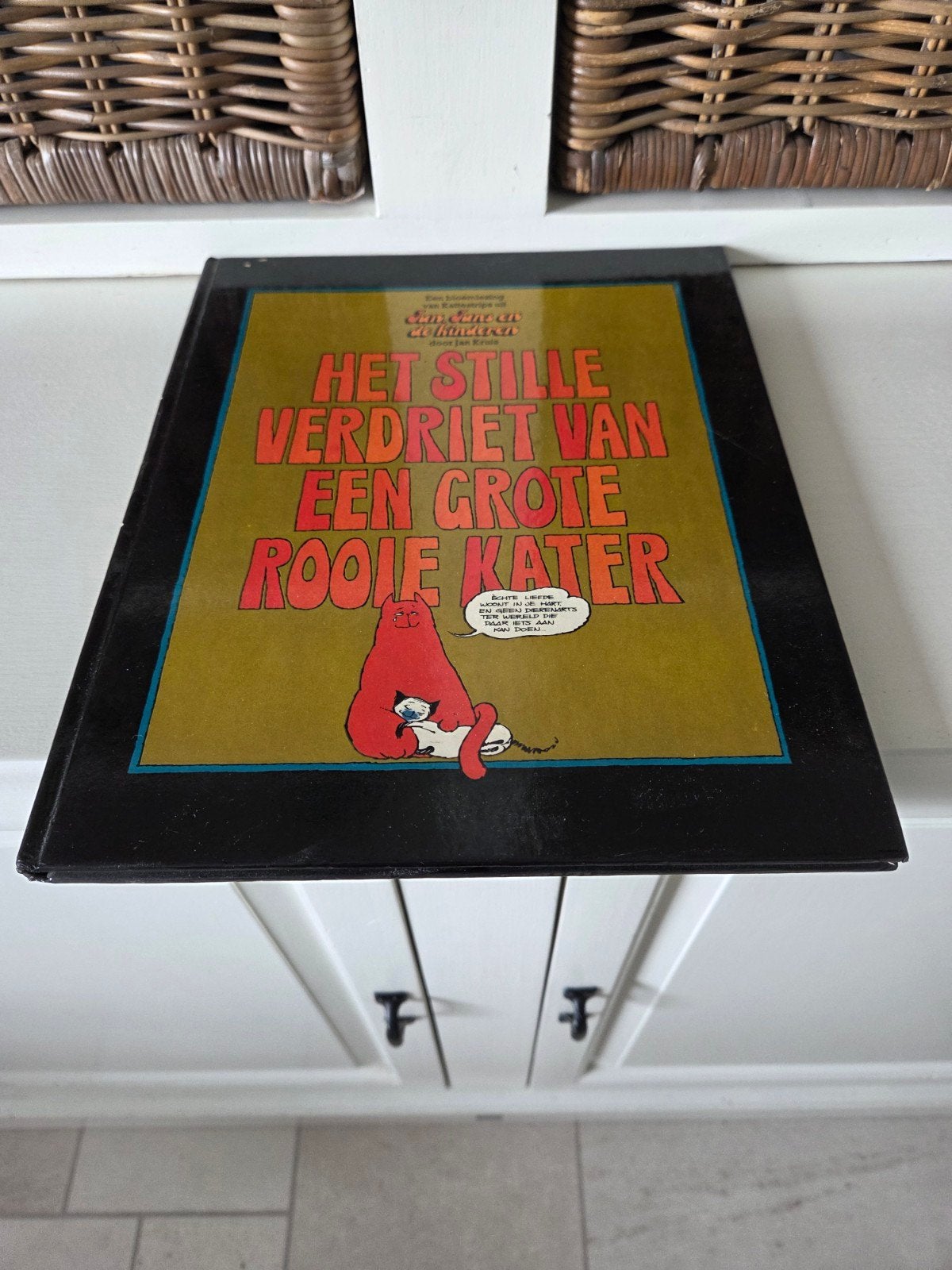 Jan Kruis - Het stille verdriet van een grote rode kater, Boeken, Eén stripboek, Ophalen of Verzenden, Gelezen
