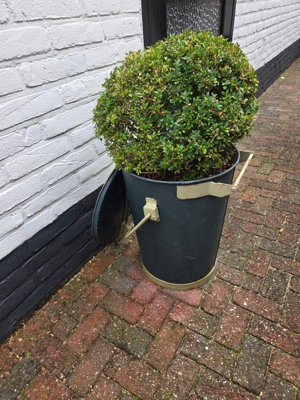 brocante zinken, zink vuilnisbak Maarssen met buxus plant, Ophalen