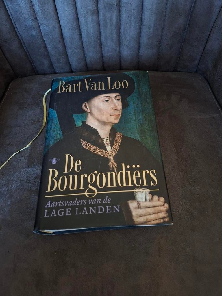 De Bourgondiërs - Aartsvaders van de Lage Landen, Boeken, 15e en 16e eeuw, Europa, Ophalen of Verzenden, Zo goed als nieuw