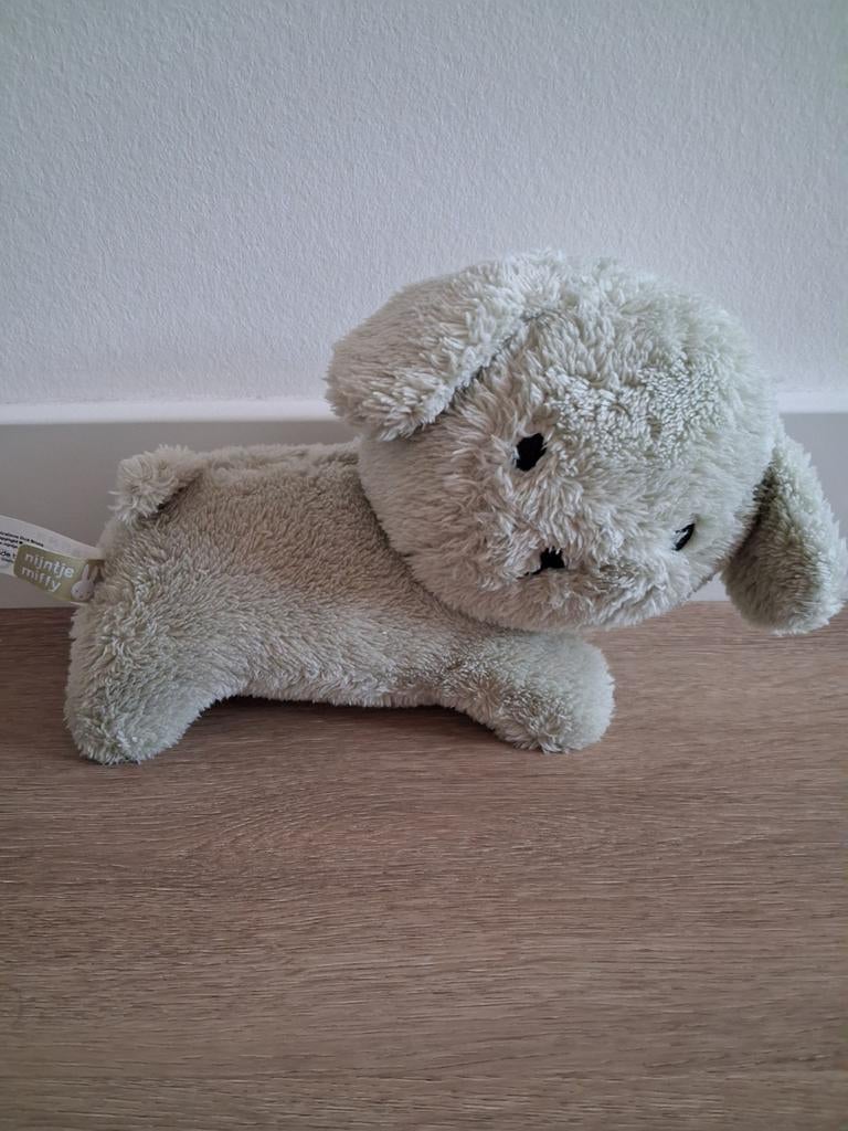 Knuffel Snuffie hond Nijntje Miffy groen zacht K9982, Ophalen of Verzenden, Zo goed als nieuw, Hond
