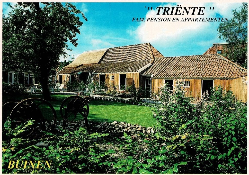 Buinen, Triente, Verzamelen, Ophalen of Verzenden, Gelopen, Drenthe