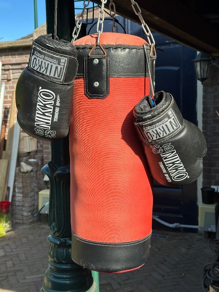 Bokszak met bokshandschoenen, Sport en Fitness, Ophalen, Gebruikt, Bokszak