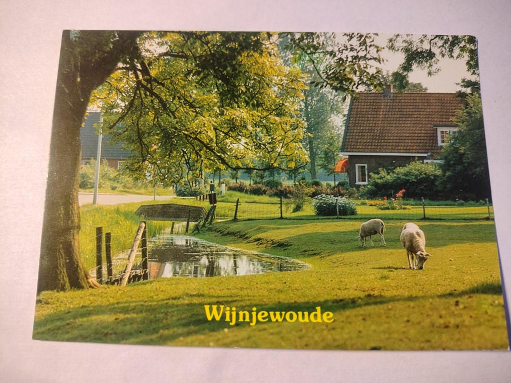 Wijnjewoude, Ophalen of Verzenden