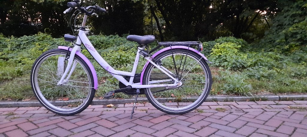 Leuke Pegasus Meisjesfiets 24 inch, Fietsen en Brommers, Fietsen | Meisjes, Ophalen, Gebruikt, 24 inch, Versnellingen