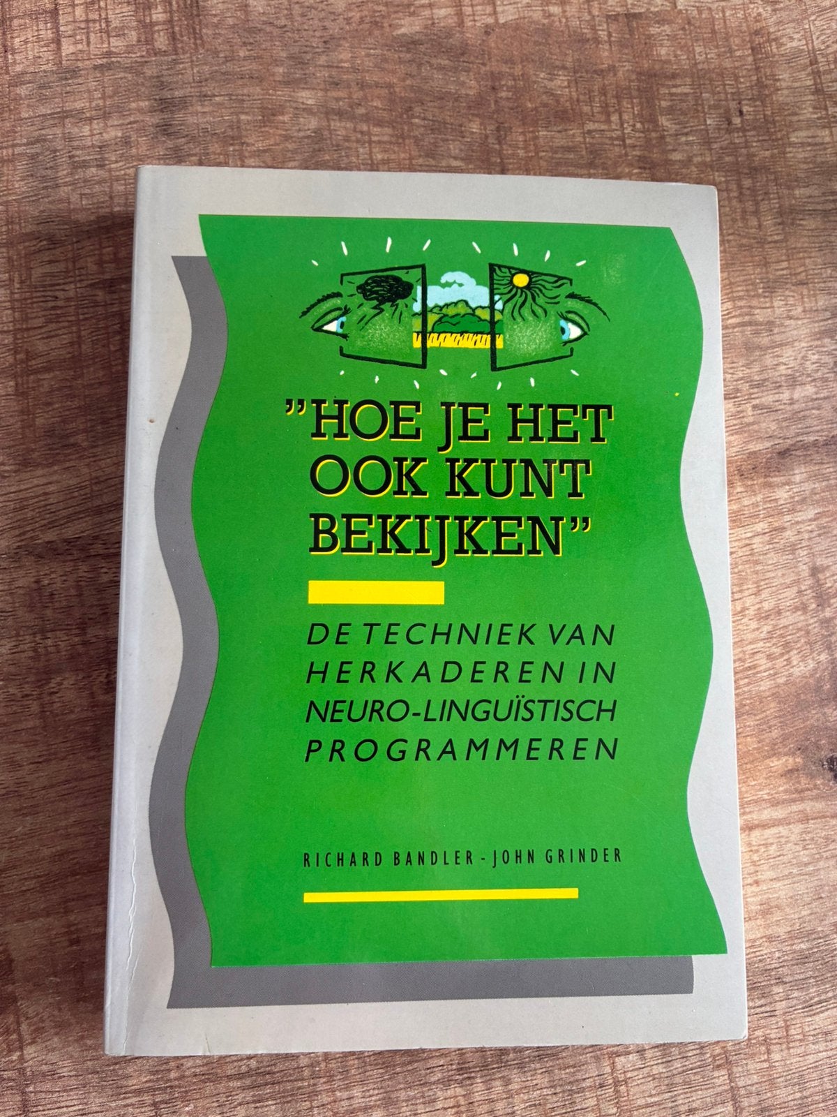 Hoe je het ook kunt bekijken - NLP boek Richard Bandler, Ophalen of Verzenden, Zo goed als nieuw, Ontwikkelingspsychologie, R. Bandler; J. Grinder