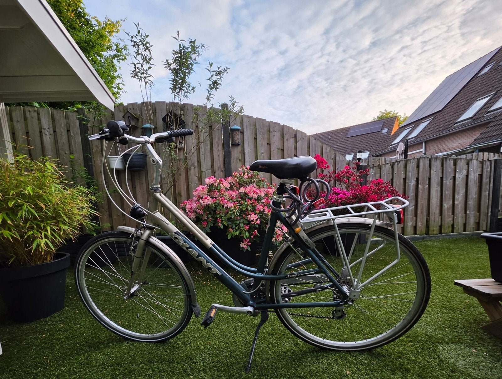 Giant Escaper L 56cm, incl Protagtor slot, Fietsen en Brommers, Ophalen