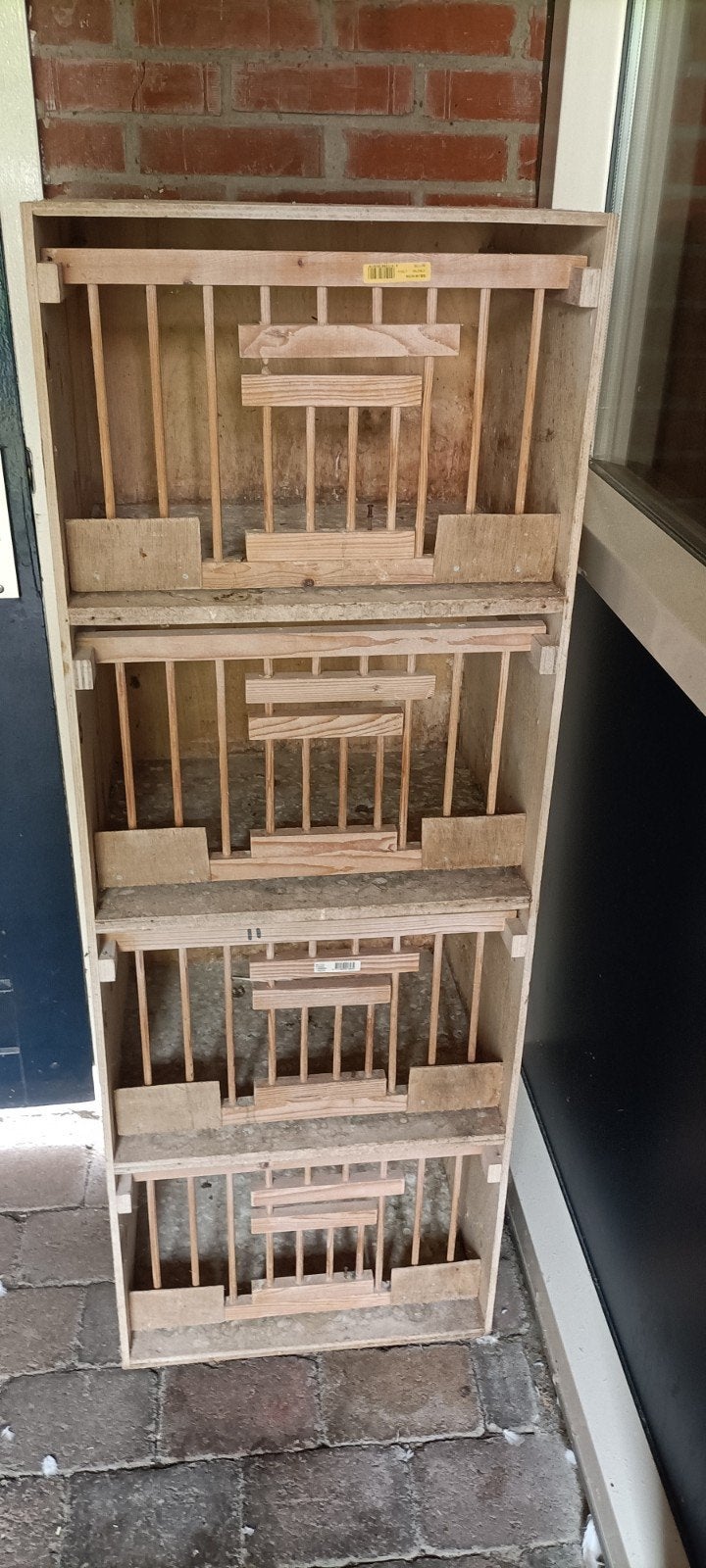 Duiven broedhokken 2 stuks, Meerdere dieren, Postduif