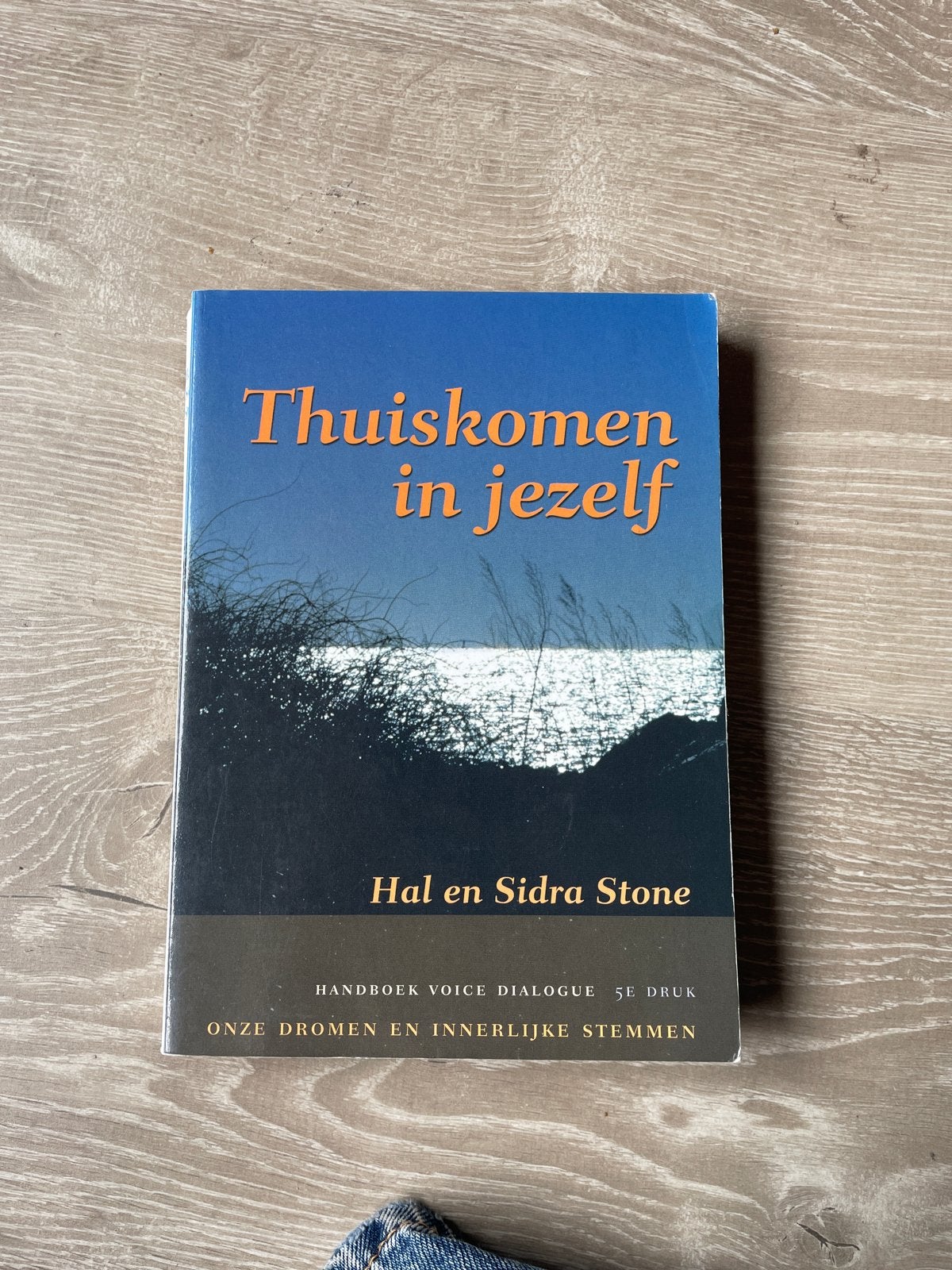 ThuisKomen in Jezelf - Hal en Sidra Stone, Ophalen of Verzenden, Zo goed als nieuw, Overige onderwerpen