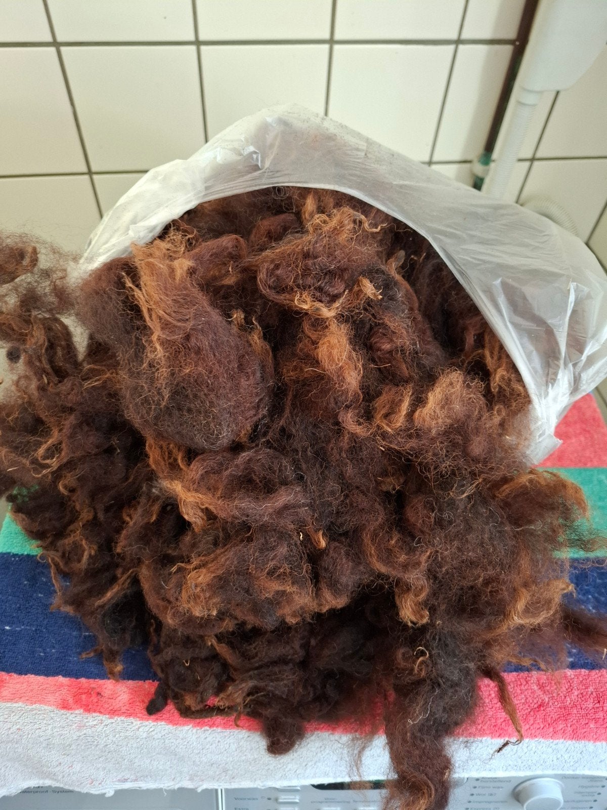 Wol Ouessant schaap,  bruin , gewassen, Ophalen of Verzenden, Zo goed als nieuw, Spinwol