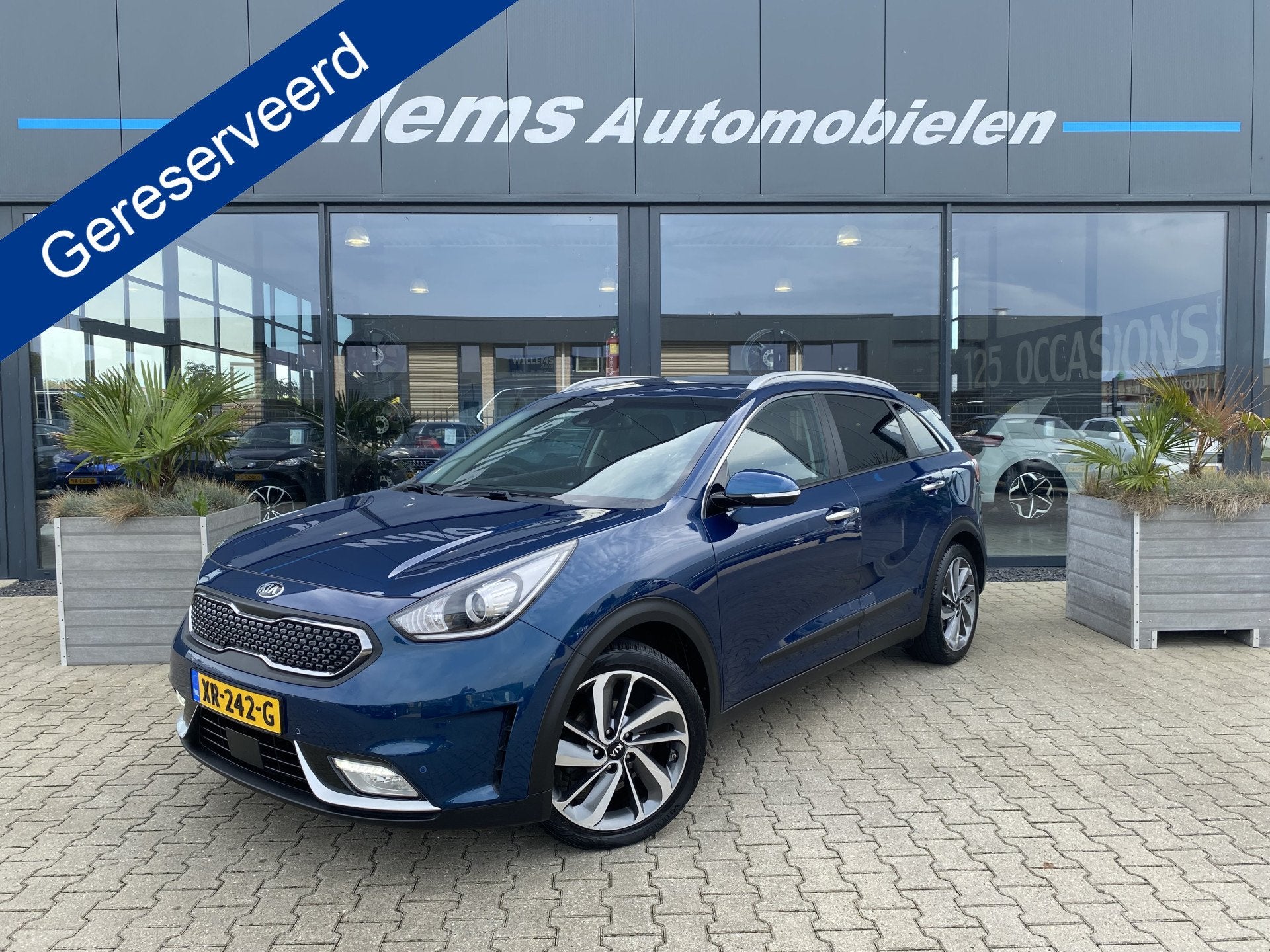 Kia Niro 1.6 GDi Hybrid BusinessLine Stoelverwarming & Stuur, Auto's, Dealer onderhouden, Gebruikt, Met garantie (alle), Blauw