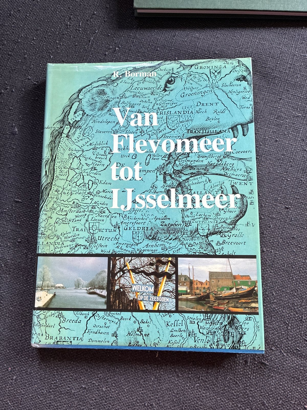 Van Flevomeer tot IJsselmeer - R. Borman, Ophalen of Verzenden, Zo goed als nieuw, Nederland