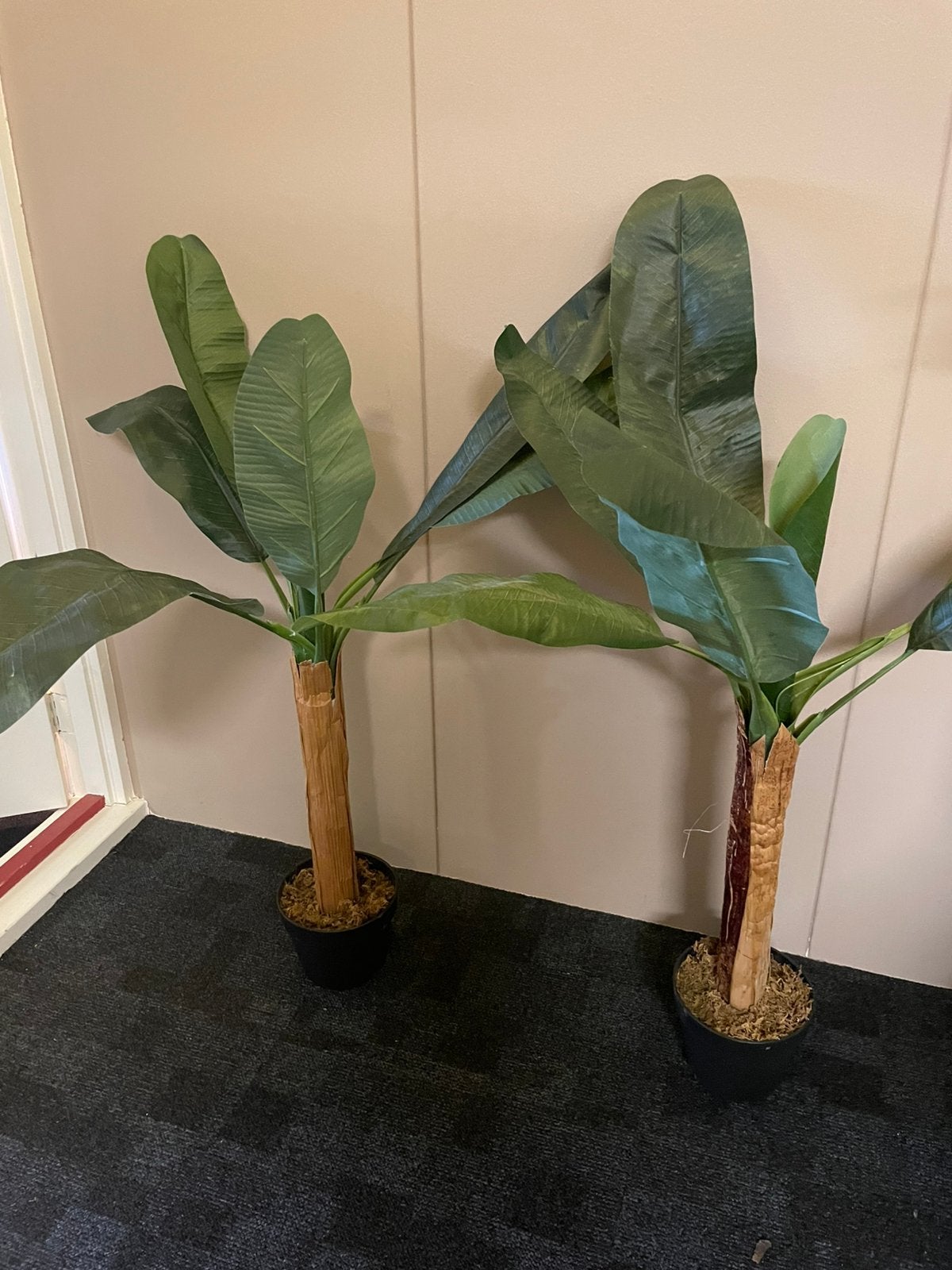 Kunst bananenplant 2 stuks circa 100 cm hoog, Ophalen, Zo goed als nieuw, Binnen