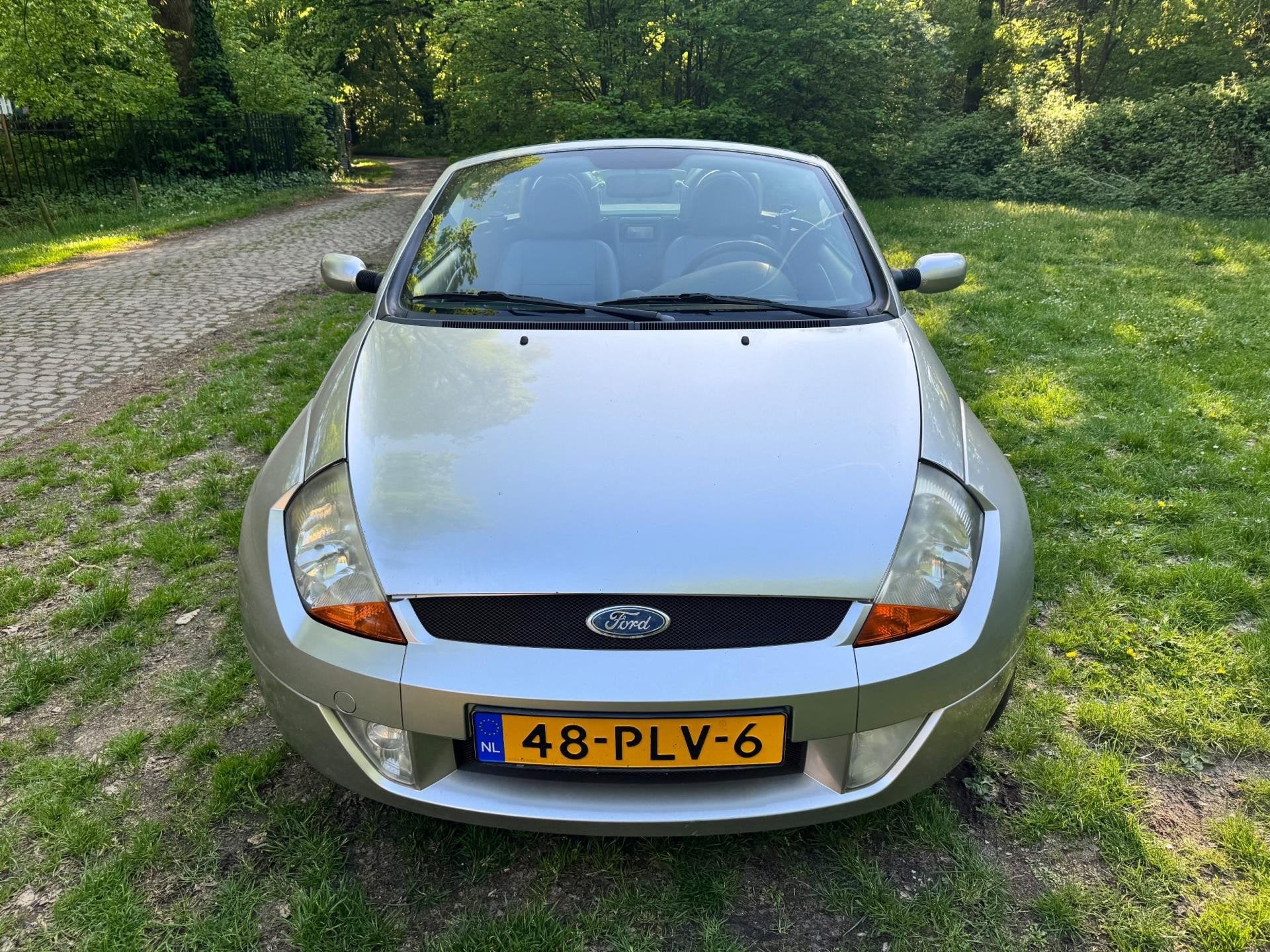 Ford Streetka 1.6, 13 km/l, Zwart, Leder, Bedrijf