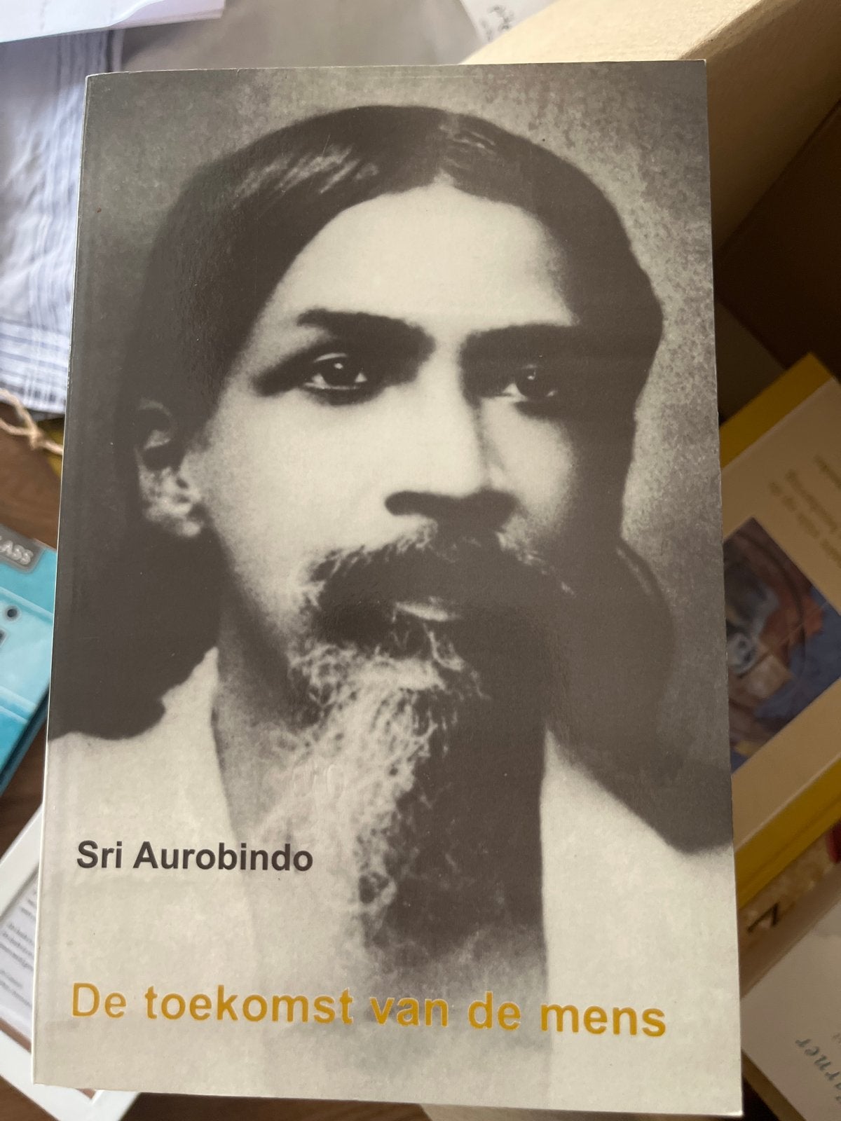De toekomst van de mens - Sri Aurobindo (Evolutie boek), Boeken, Ophalen of Verzenden, Gelezen, Spiritualiteit algemeen, Achtergrond en Informatie