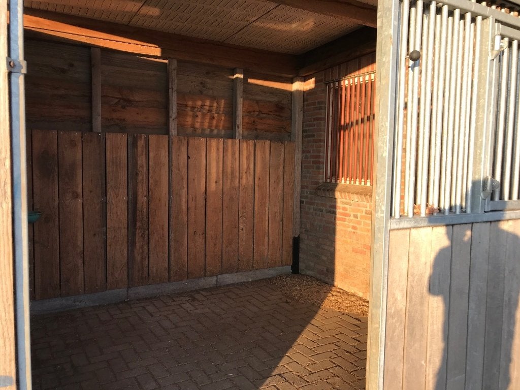stalling en weidegang, Dieren en Toebehoren, Stalling en Weidegang, Stalling, 2 of 3 paarden of pony's