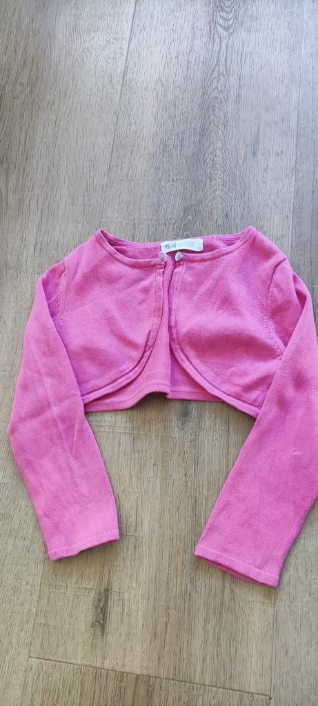 Roze H&M Bolero Maat 98/104, Kinderen en Baby's, Ophalen, Zo goed als nieuw, H&M, Meisje