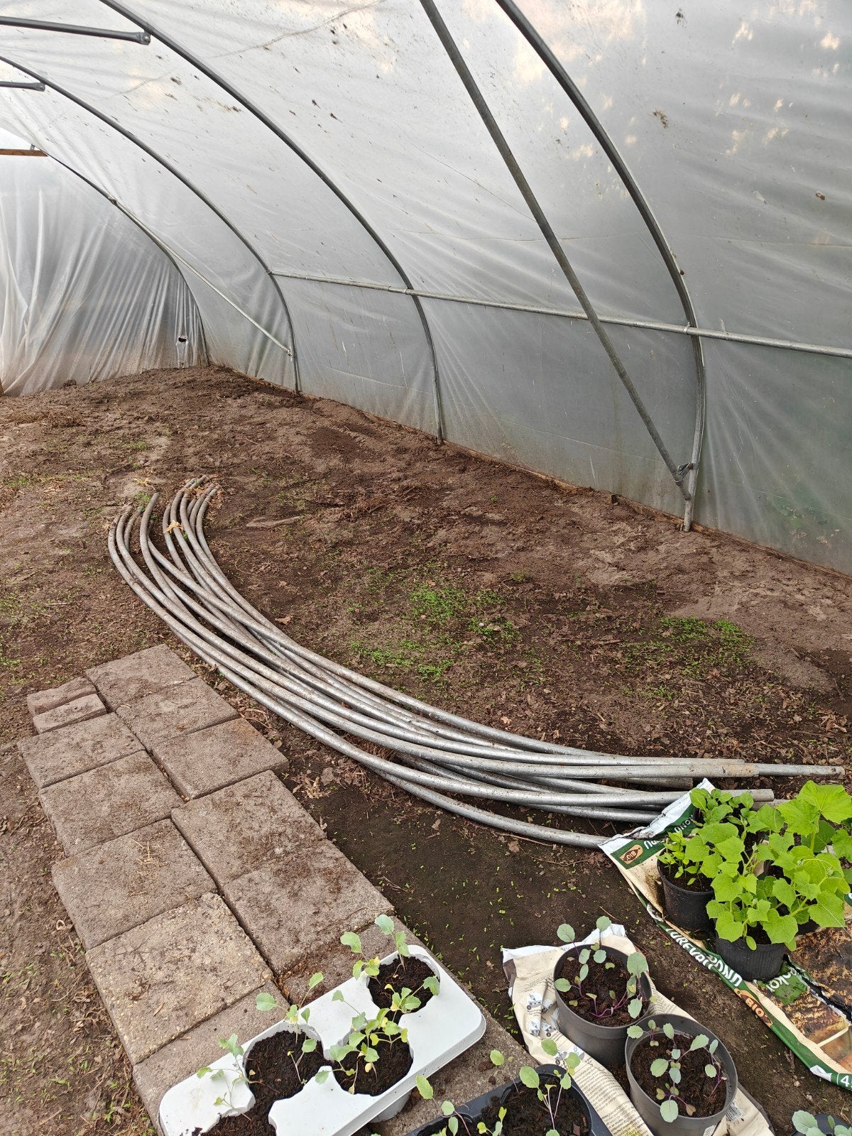 Tunnelbogen met grondankers, tunnelkas, Tuin en Terras, Kassen, Ophalen