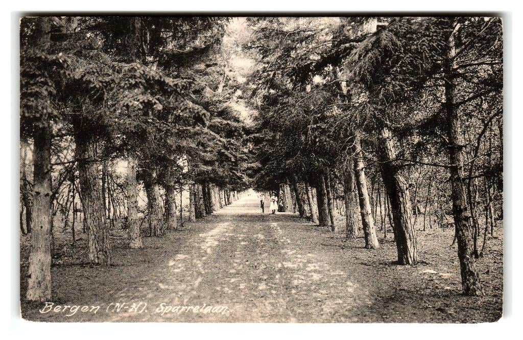 Bergen, Sparrelaan, Verzenden, Voor 1920, Ongelopen, Noord-Holland