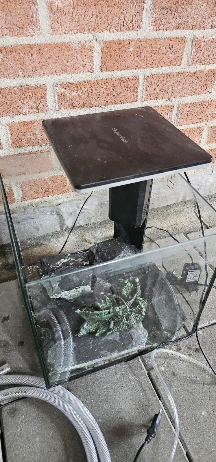 Aquarium, Dieren en Toebehoren, Ophalen