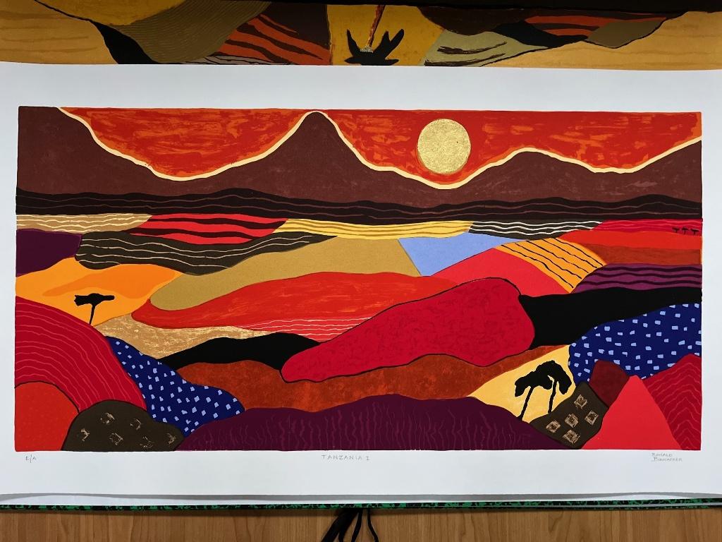 Ronald Boonacker, zeefdruk Tanzania I, Antiek en Kunst, Kunst | Litho's en Zeefdrukken, Ophalen