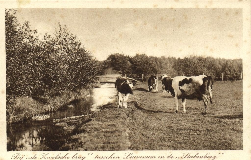 Bij de Zwolsche brug tusschen Leuvenum en de Stakenberg - ko, Ophalen of Verzenden, 1920 tot 1940, Ongelopen, Gelderland