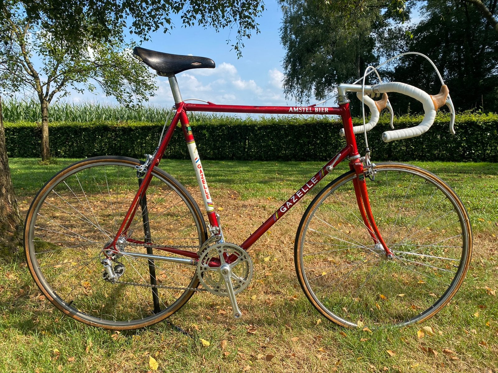 Gazelle Amstel Bier Teamfiets | Campagnolo Nuovo Record, Ophalen, 28 inch, Gebruikt, Velgrem
