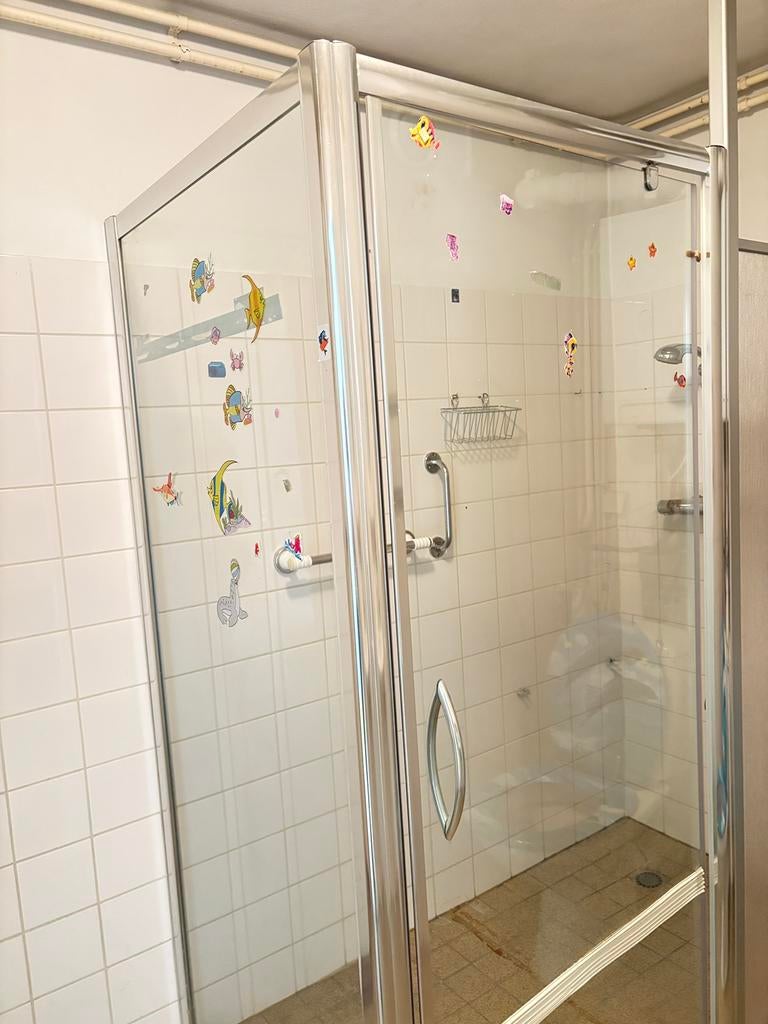Douchdeur plus zijwand, Ophalen, Gebruikt