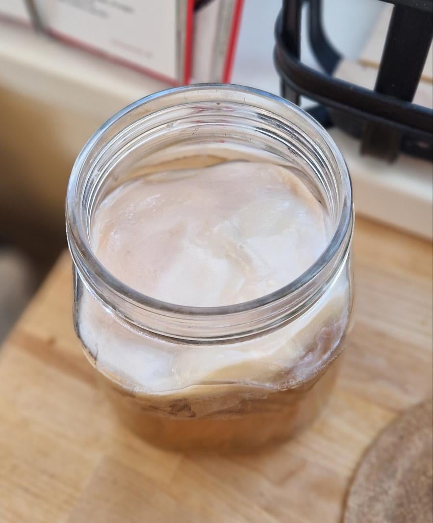 Kombucha scoby, Ophalen