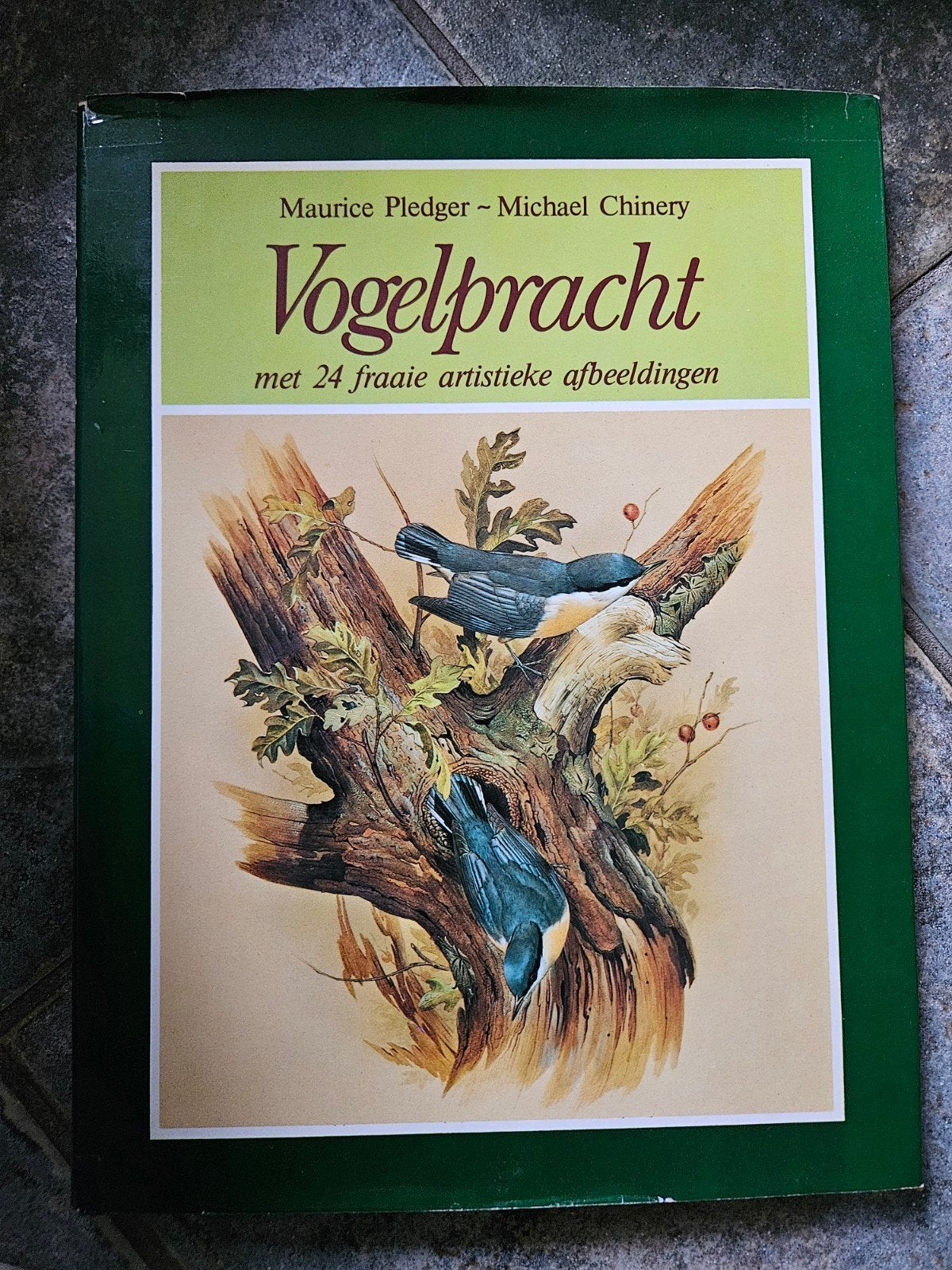 Vogelpracht (1980) – Maurice Pledger & Michael Chinery, Boeken, Ophalen of Verzenden, Gelezen, Vogels, Maurice Pledger, Michael Chinery