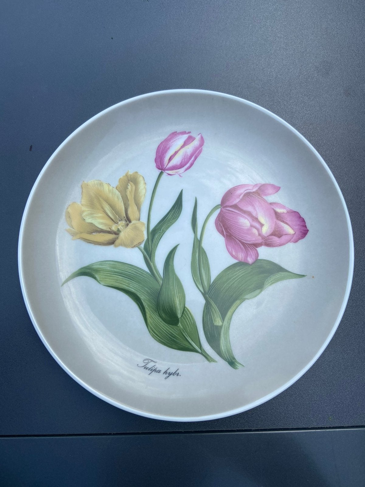 Wandbord Kaiser- West Duitsland- Tulp- Porselein., Ophalen of Verzenden